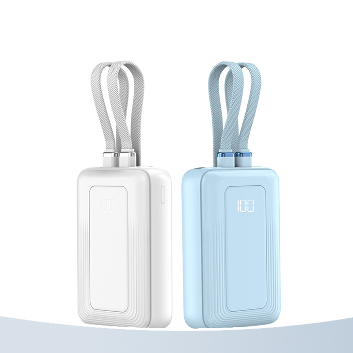 Custom Logo Dual-wire portable power bank | Premium Corporate Gifts and Custom Gifts